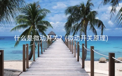 什么是微动开关？(微动开关原理)
