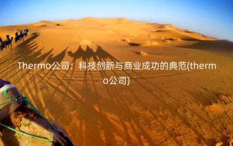Thermo公司：科技创新与商业成功的典范(thermo公司)